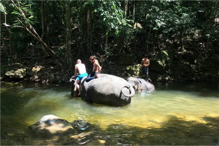 永安旅遊