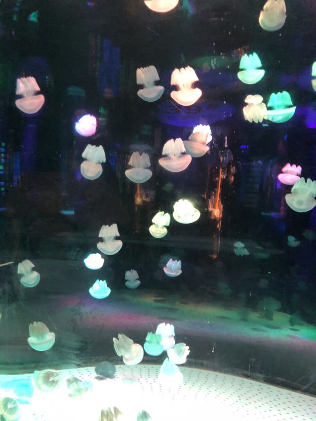 Grandview Aquarium