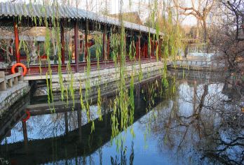 济南趵突泉景区+大明湖景区+千佛山+黑虎泉+济南宽厚里一日游【[定制服务] 管家式体验 行程自由 私家团，一单一团】