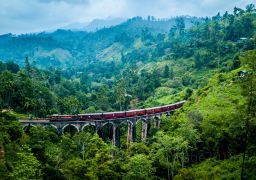 travel picture