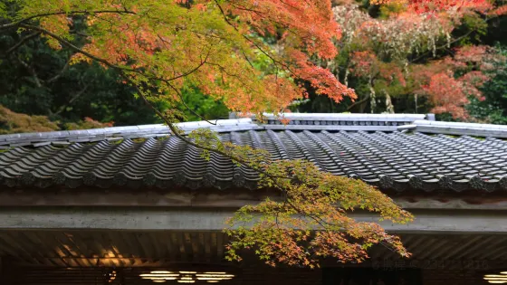 瑞寶寺公園