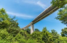 亨德森波浪桥-新加坡-C-IMAGE
