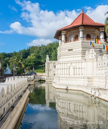 5D4N • Sri Lanka + Dambulla + Tea Plantation Area + Colombo + Sigiriya Lion Rock + Temple of the Sacred Tooth Relic + Nuwara Eliya Post Office