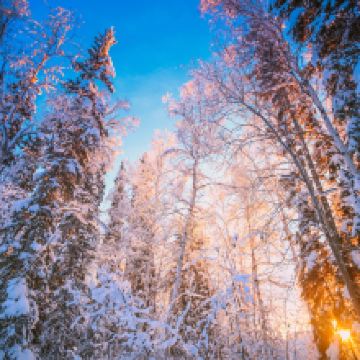 费尔班克斯图片