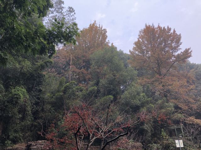 남교공원