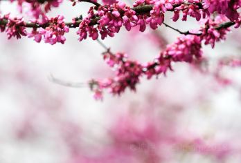 长沙湖南博物院+岳麓书院+橘子洲【(米粉街+火宫殿)精致小团【2-15人精致小团，只为少数私享家定制，深度走心温度游，小众慵懒慢旅行之选】
