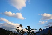 钱凉粉美食图片