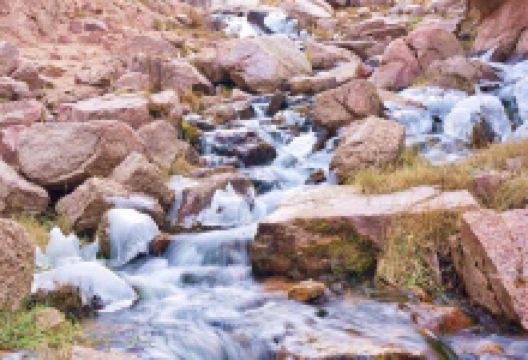 豹子头森林公园景点图片