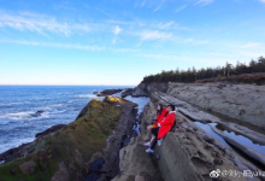 Shore Acres State Park景点图片