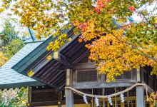 志摩市旅游图片-鸟羽+伊势+名古屋两日游