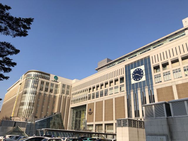 Sapporo Ekimaedori