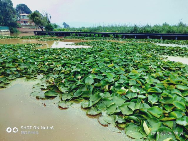 Yueliangwan Wetland Park