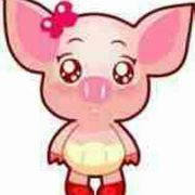 高小姐的王先森