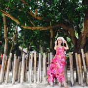 要努力成为学霸的小白