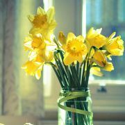 微微要永远纯真