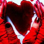 爱吃花菜的阿伯