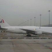 爱的张扬我就是我