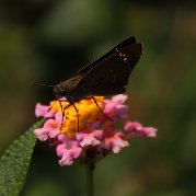 我要心不在软弱