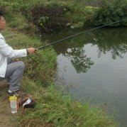 天山下的小王子