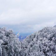 少爷身子伙计命