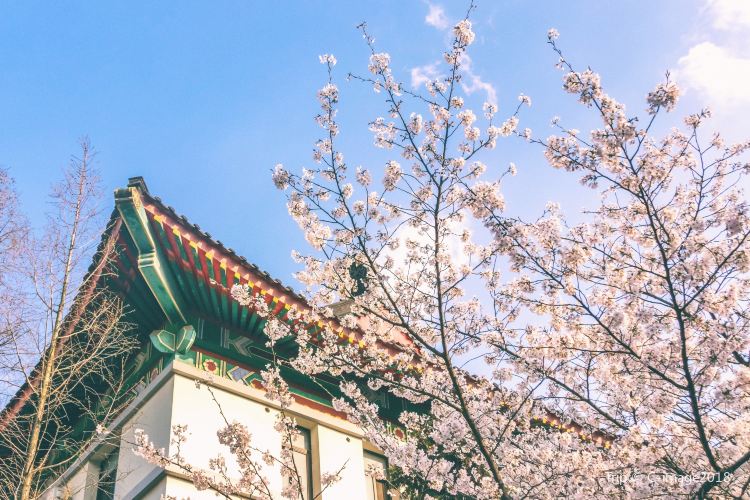 南京簡介