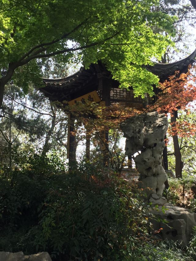 清晏园旅行图片 2