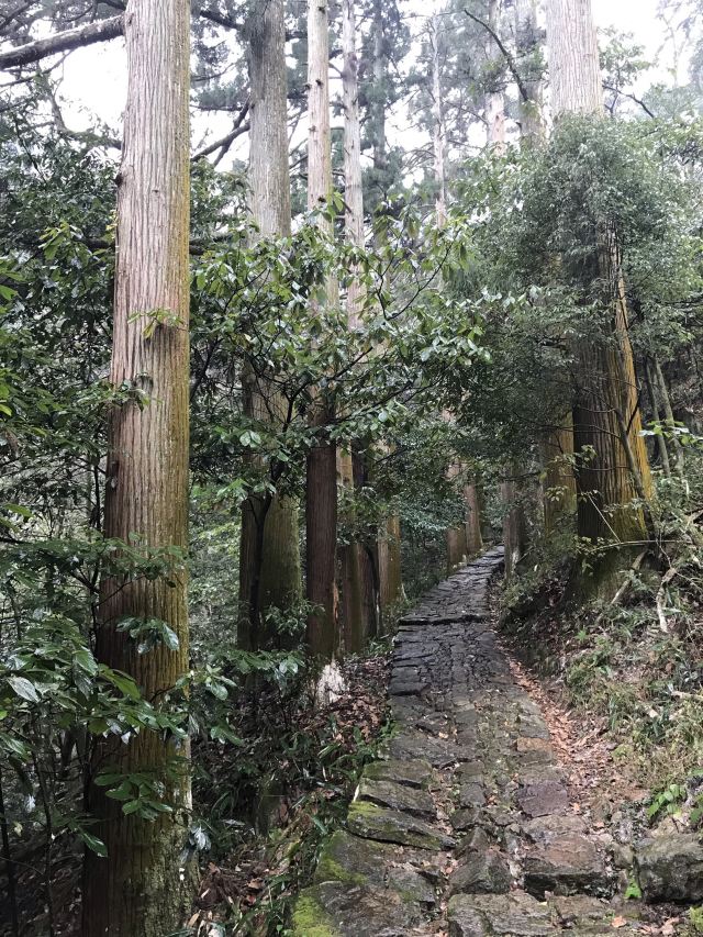 天目山景區