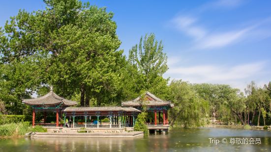 Jinchun Garden