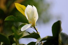 黔灵山公园-贵阳-板凳队员