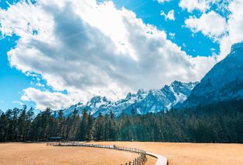 丽江玉龙雪山+云杉坪+蓝月谷一日游【私家团+英文导游讲解】【（包车shou选）一单一团！一对一包车路线，师傅经验丰富，探寻不一样的美景，体验不一样的云南】