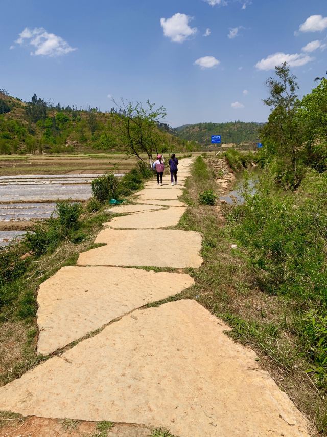 泸西城子古村旅行图片 3