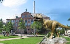 森肯贝格自然博物馆-法兰克福-C-IMAGE