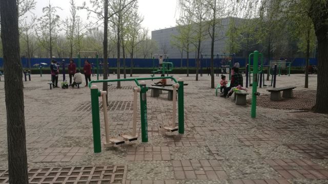 文体公园旅行图片 4