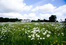 Catton Hall & Park景点图片