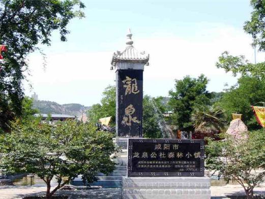 龙泉公社