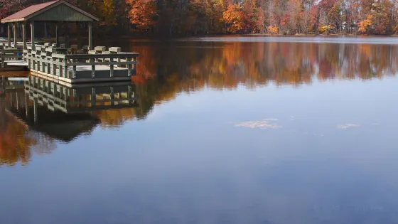 Lake Brittle