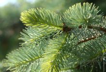 Questhaven Park景点图片