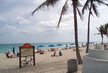 美国迈阿密+劳德代尔堡海滩一日游【雄狮野生动物王国+棕榈滩】【前往“世界游艇之都” 劳德代尔堡和冬日避寒度假胜地棕榈滩。】