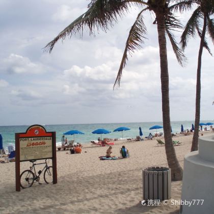 美国迈阿密+劳德代尔堡海滩一日游【雄狮野生动物王国+棕榈滩】