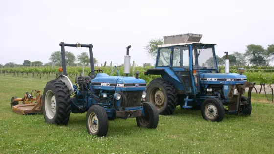 Carolyn's Sakonnet Vineyard