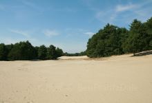 Desert of Maine景点图片