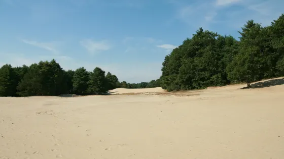 Desert of Maine