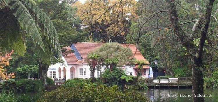 Pukekura Park Tickets Deals Reviews Family Holidays - 