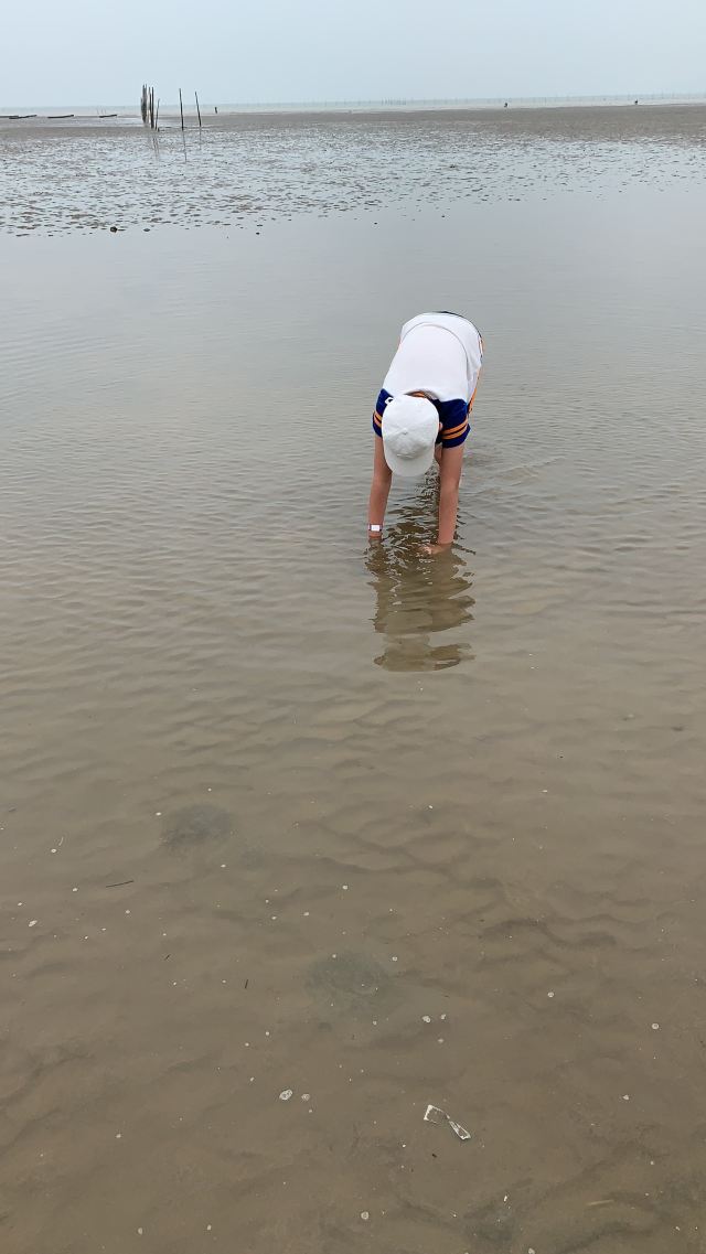 赶海一号旅行图片 2