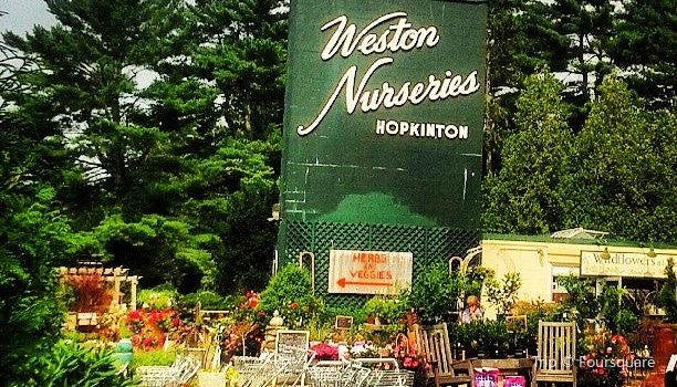 Weston Nurseries Tickets Deals Reviews Family Holidays Weston Nurseries Tickets Deals Reviews Family Holidays