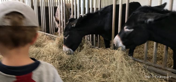 Esel Und Landspielhof Travel Guidebook Must Visit Attractions In