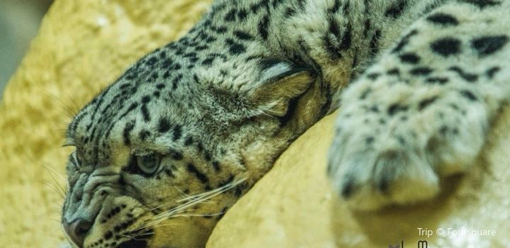 Neunkircher Zoologischer Garten Travel Guidebook Must Visit