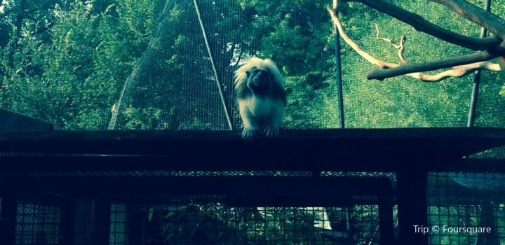 Tierpark Zittau Travel Guidebook Must Visit Attractions In Zittau