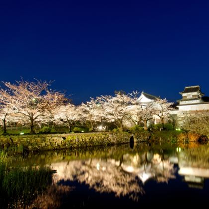 日本福冈+大分+熊本5日4晚跟团游