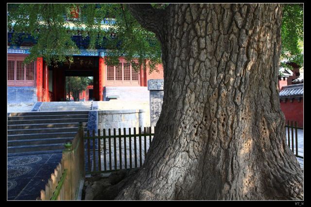 大雄寶殿
